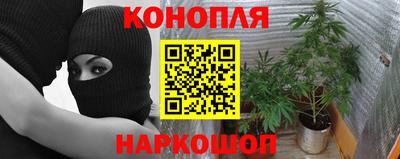 эйфоретик Жуковский